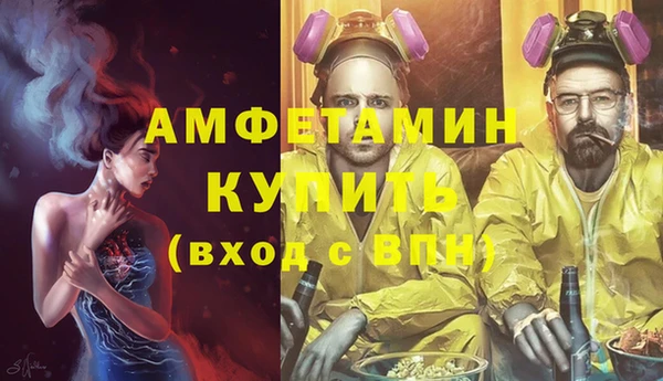 индика Пересвет