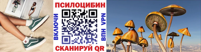 маркетплейс состав blacksprut ССЫЛКА Псилоцибиновые грибы Psilocybe Клинцы где продают